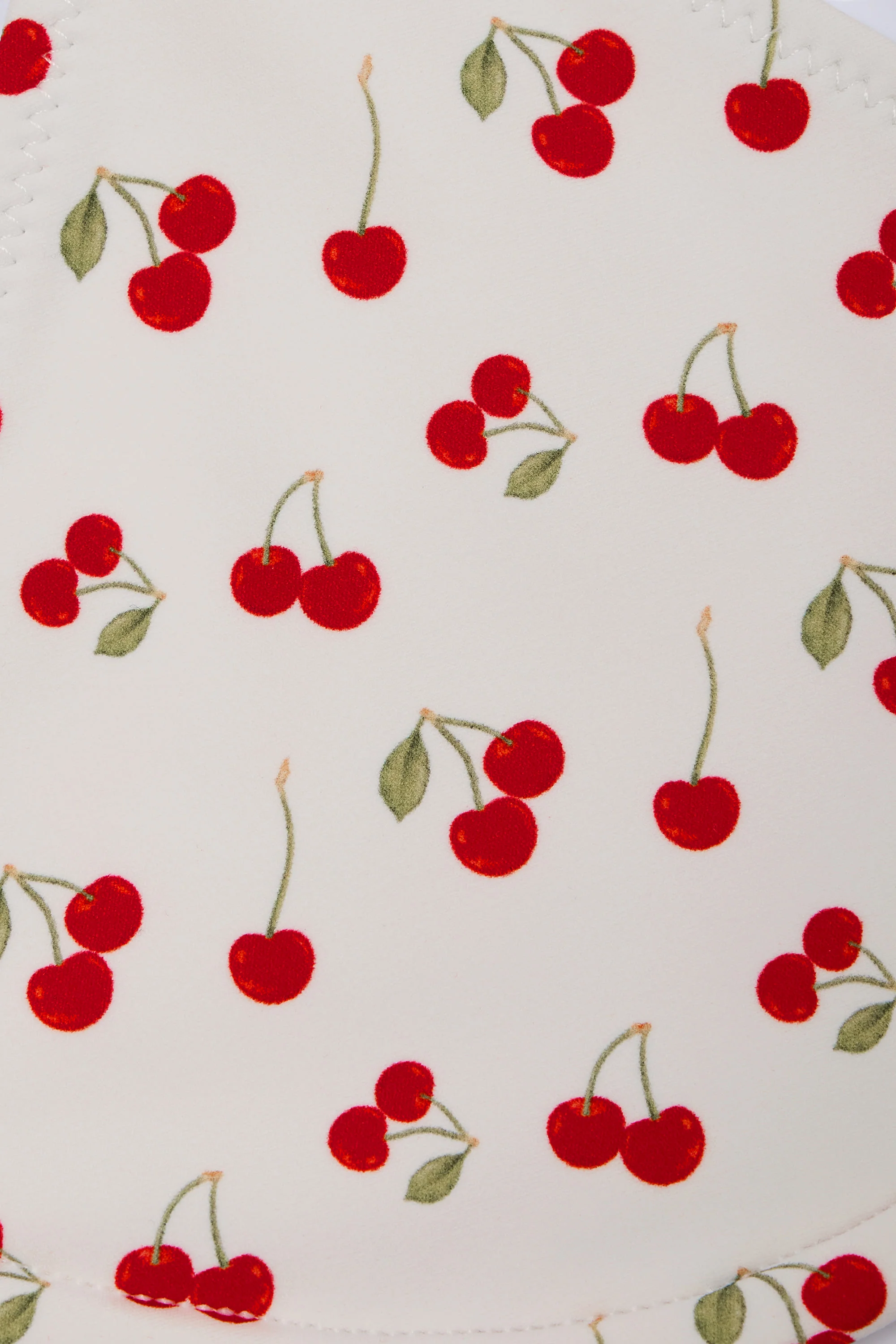 Charm-Detail Triangle Bikini Top in Cherry Print - Image 5