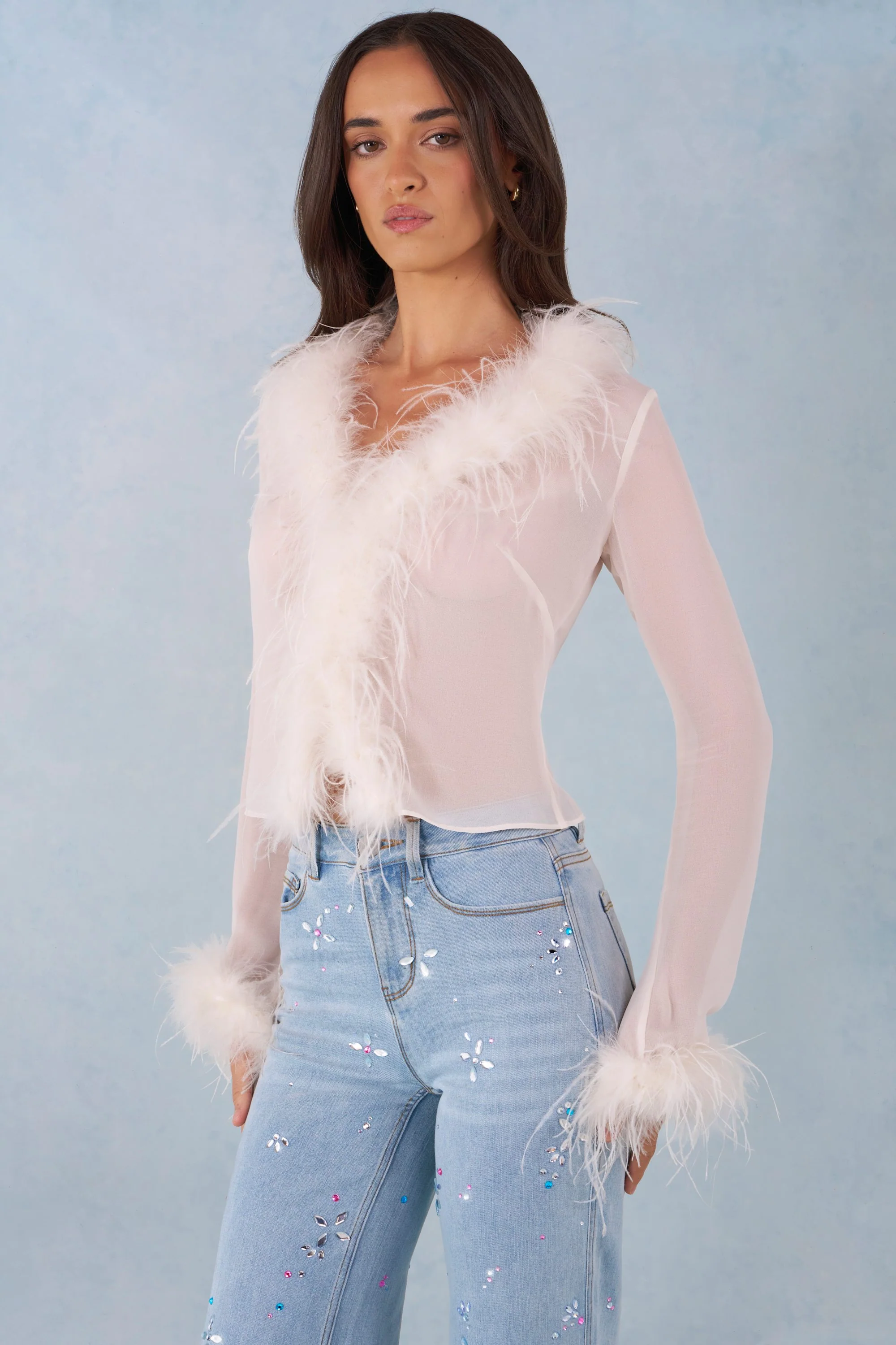 Feather Trim Sheer Top in Ivory - Image 7