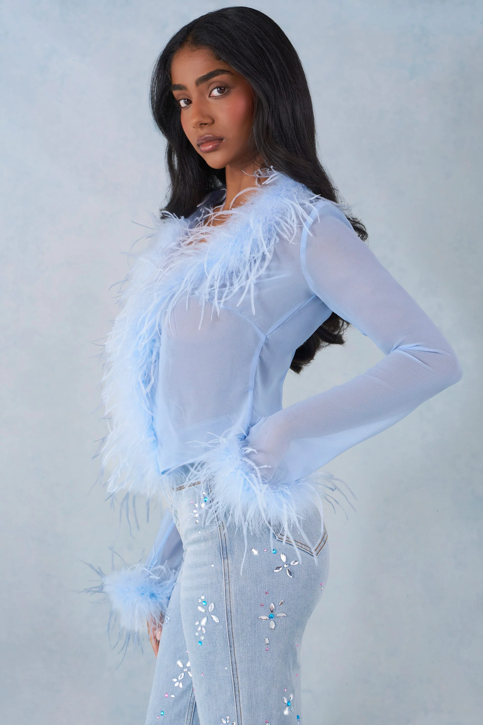 Feather Trim Sheer Top in Soft Blue - Image 3