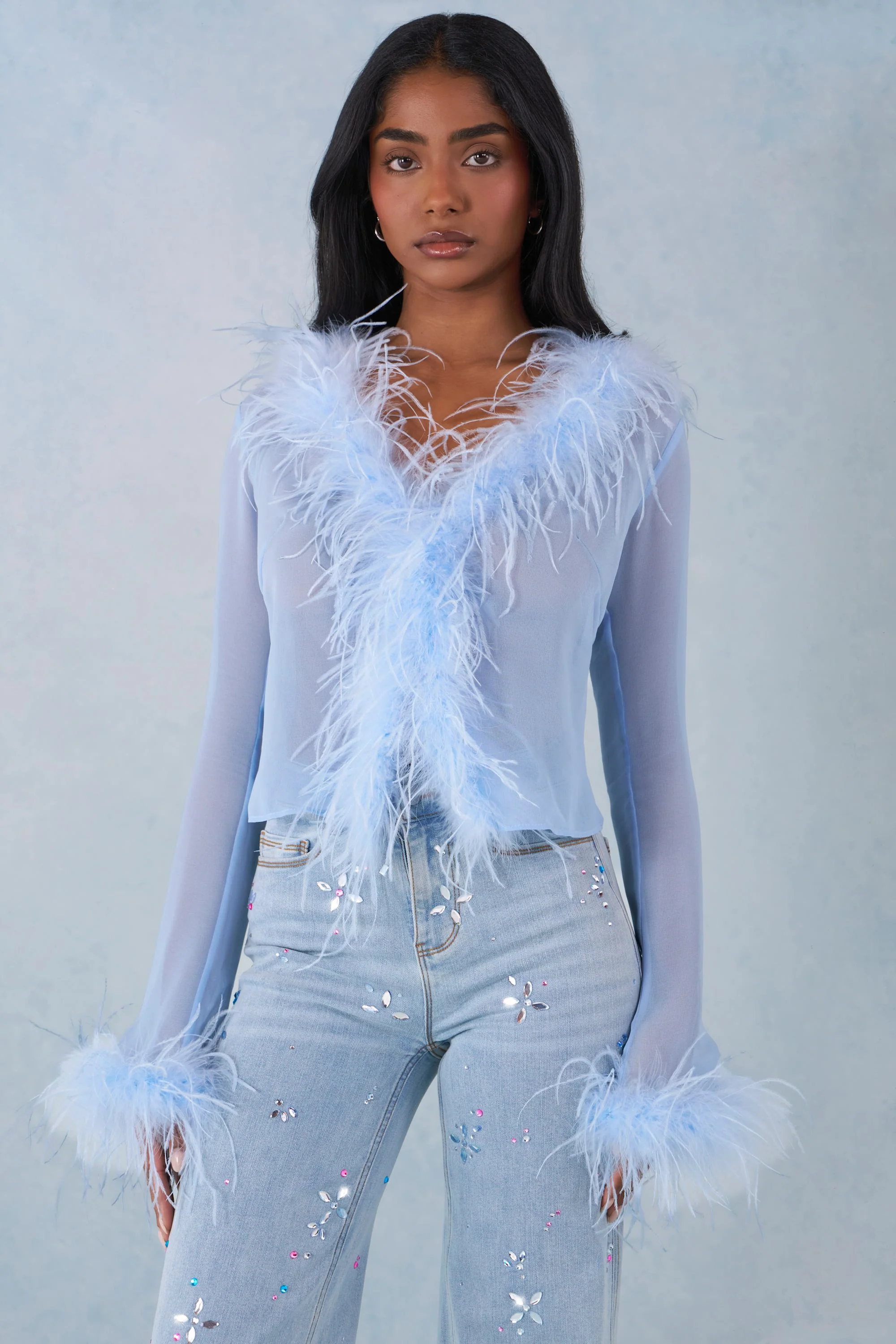 Feather Trim Sheer Top in Soft Blue - Image 4