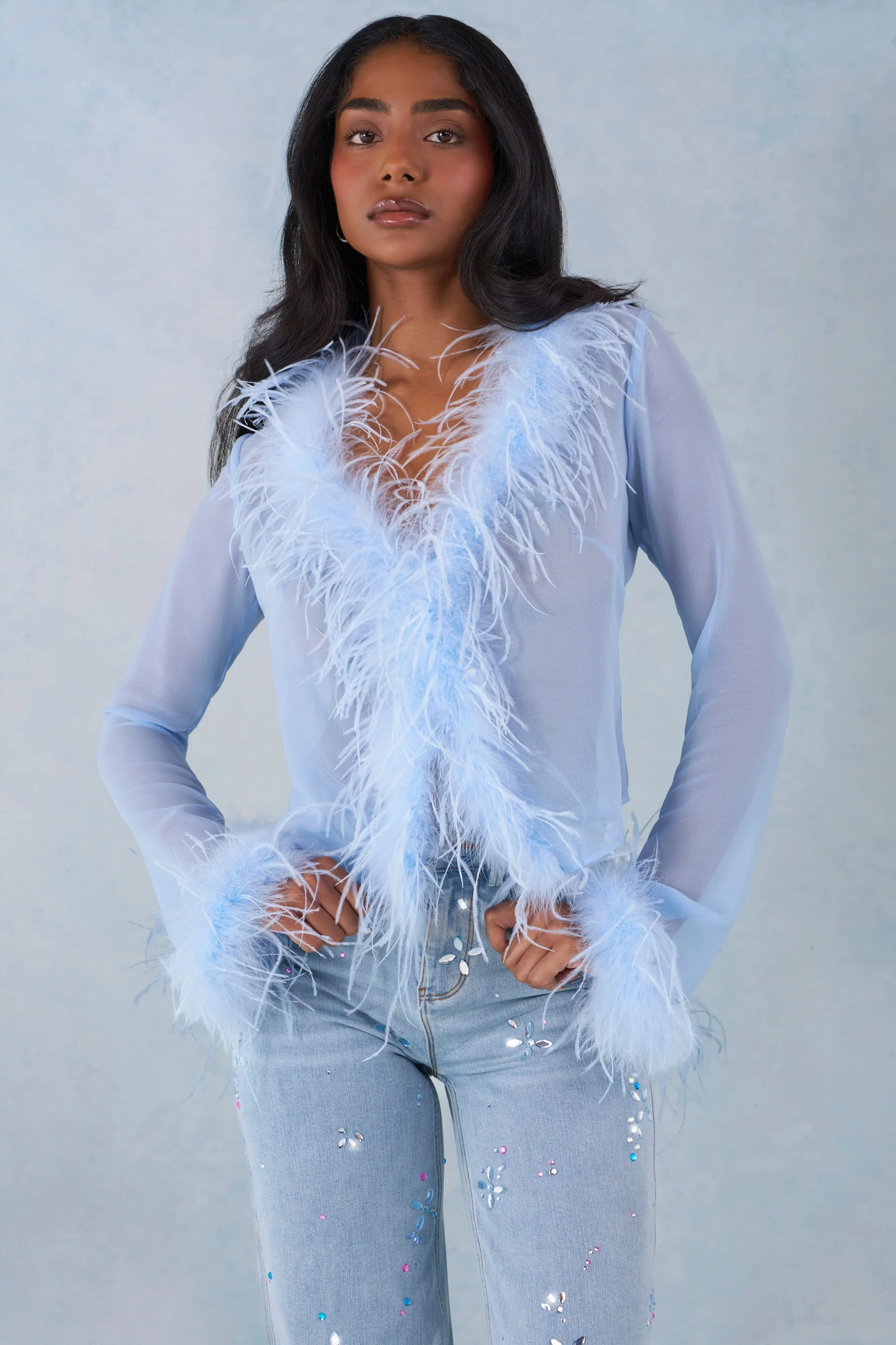 Feather Trim Sheer Top in Soft Blue - Image 6