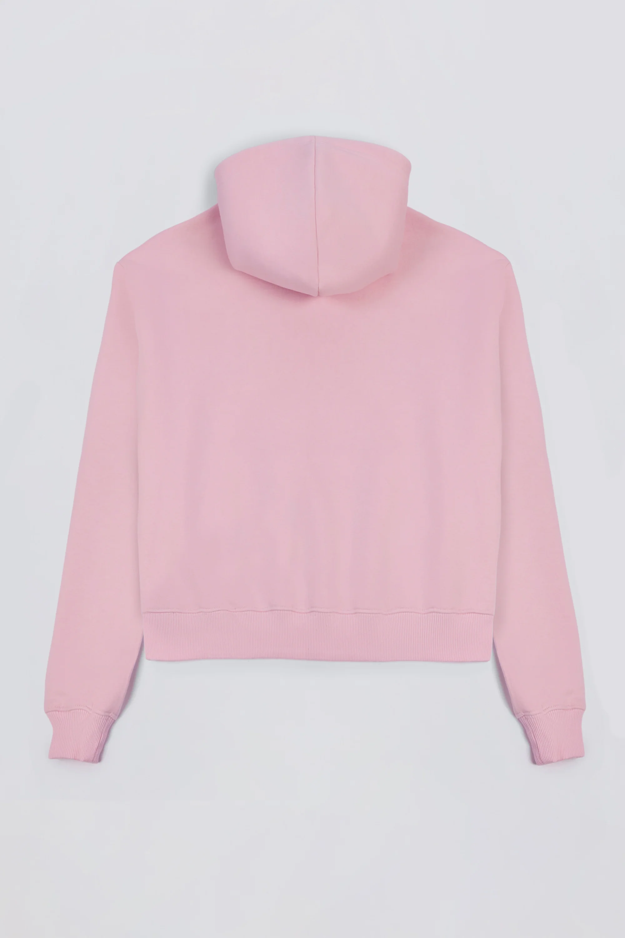 Embroidered Oversized Hoodie in Bloom - Image 5